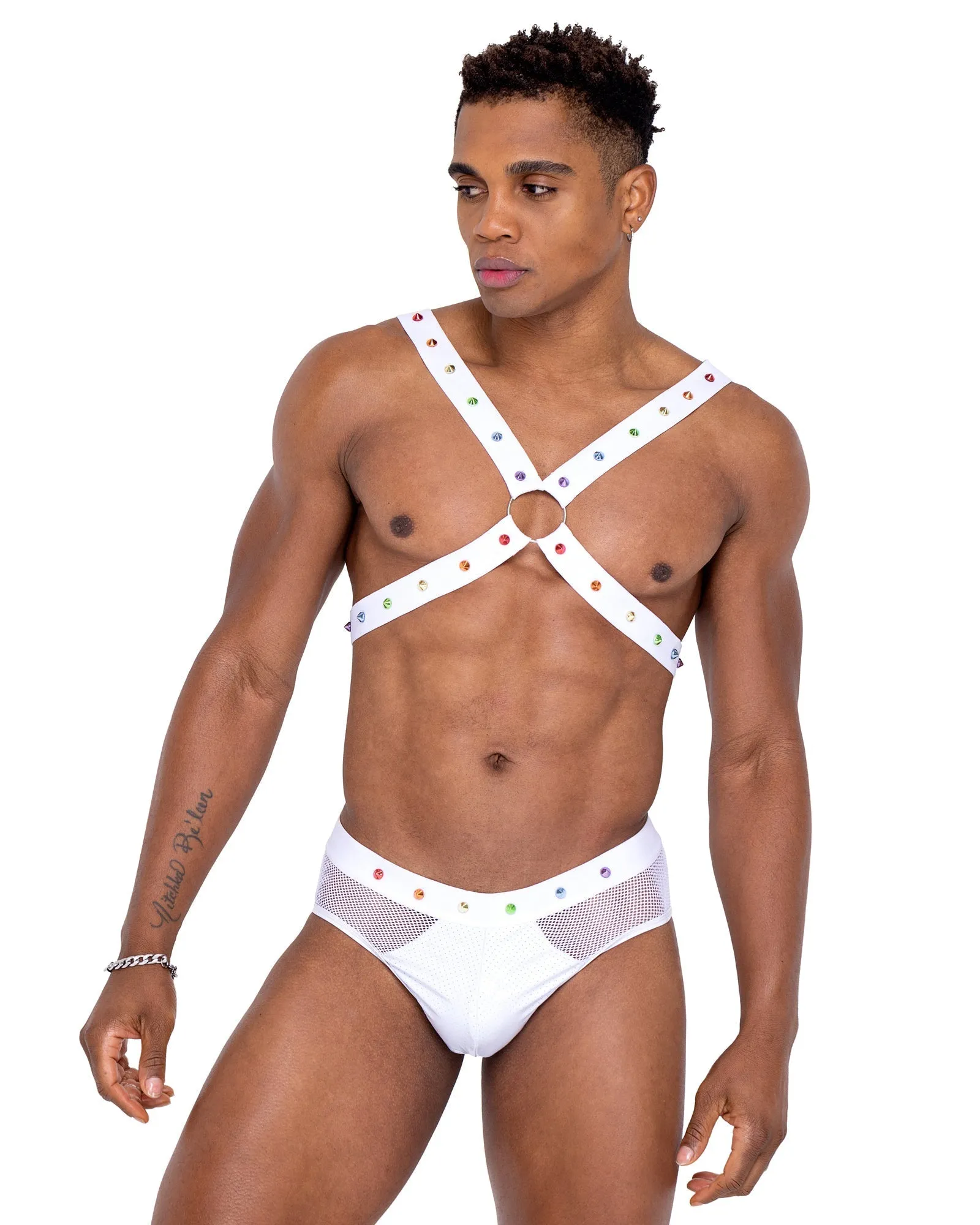 Mens Pride Harness