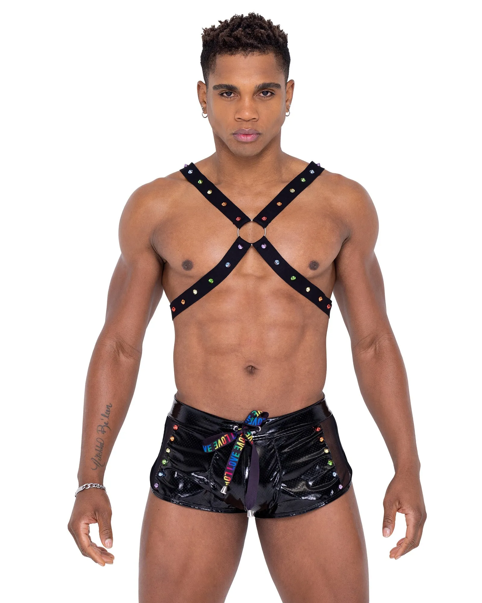 Mens Pride Harness