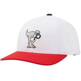 Puma Youth Dino-Mite P Snapback Golf Cap