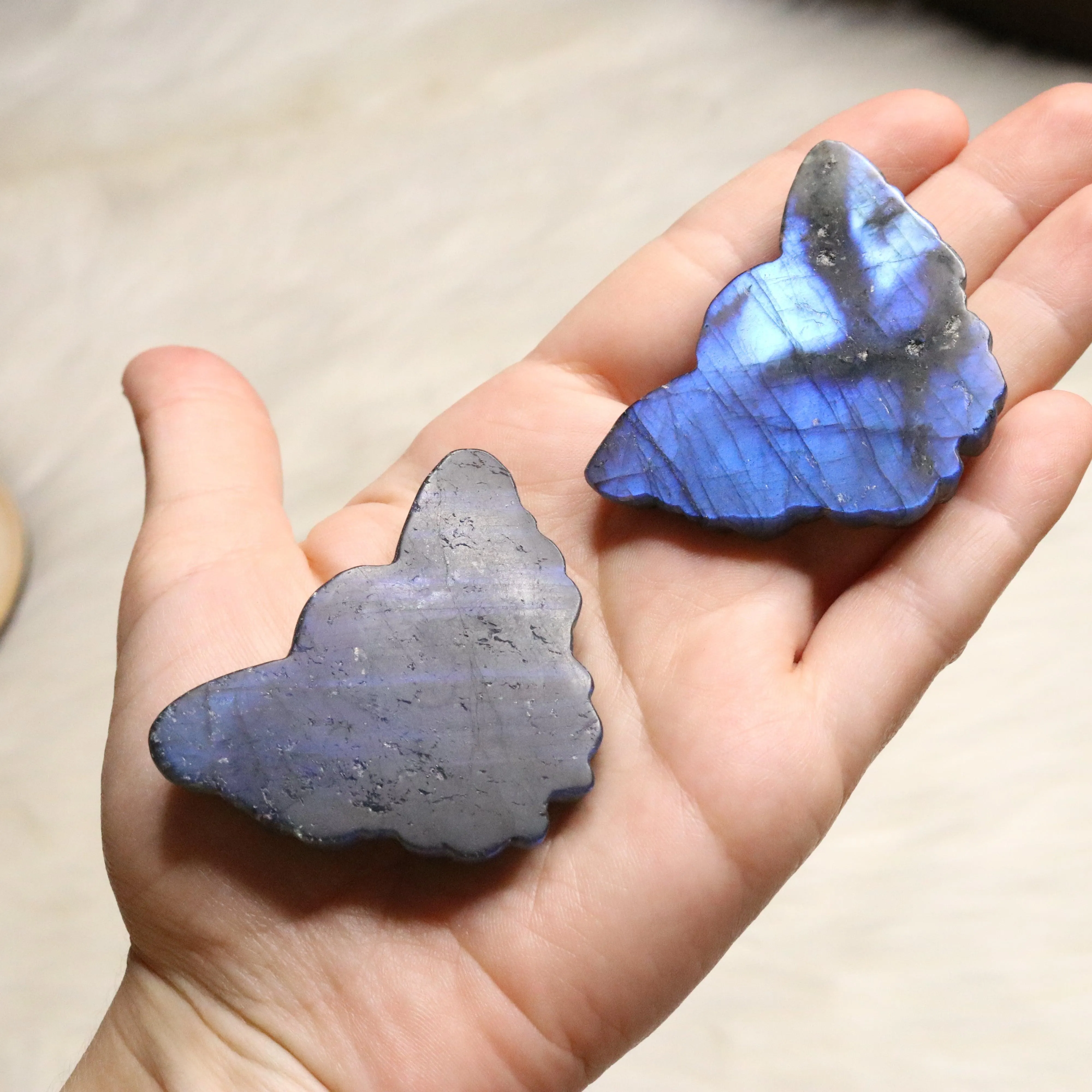 Super Blue Flash Labradorite ~ Butterfly Carvings ~ Magical